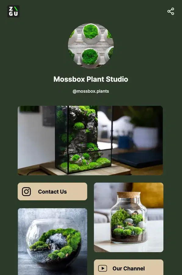 Mossbox Plant Studio's ZIGU profile
