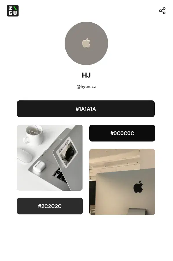 HJ's ZIGU profile