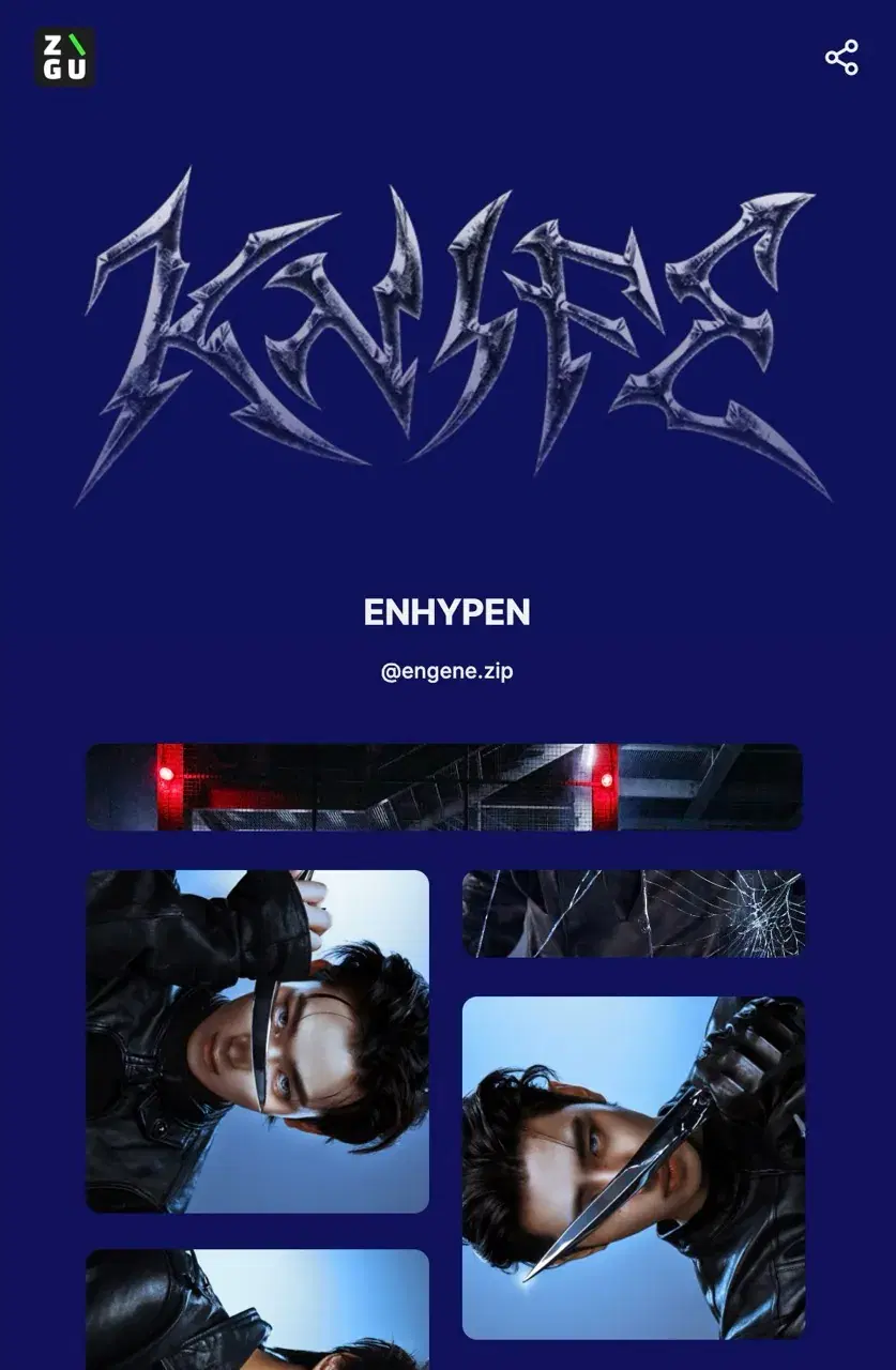 ENHYPEN's ZIGU profile