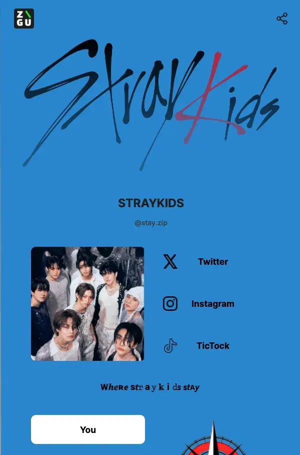 STRAY KIDS's ZIGU profile